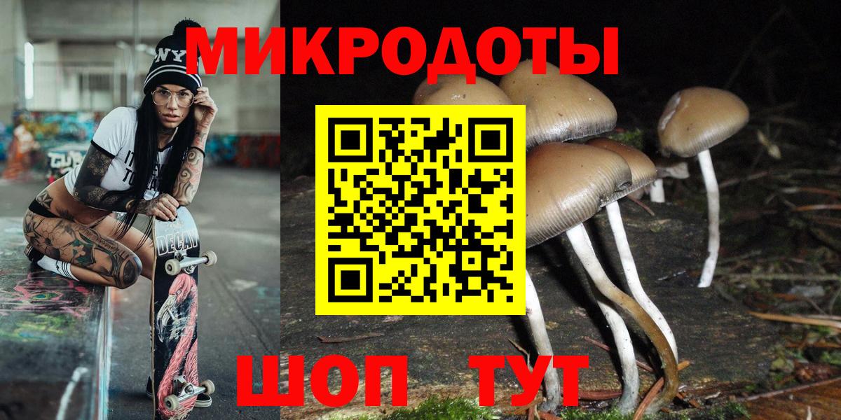 Галлюциногенные грибы Psilocybine cubensis Ирбит